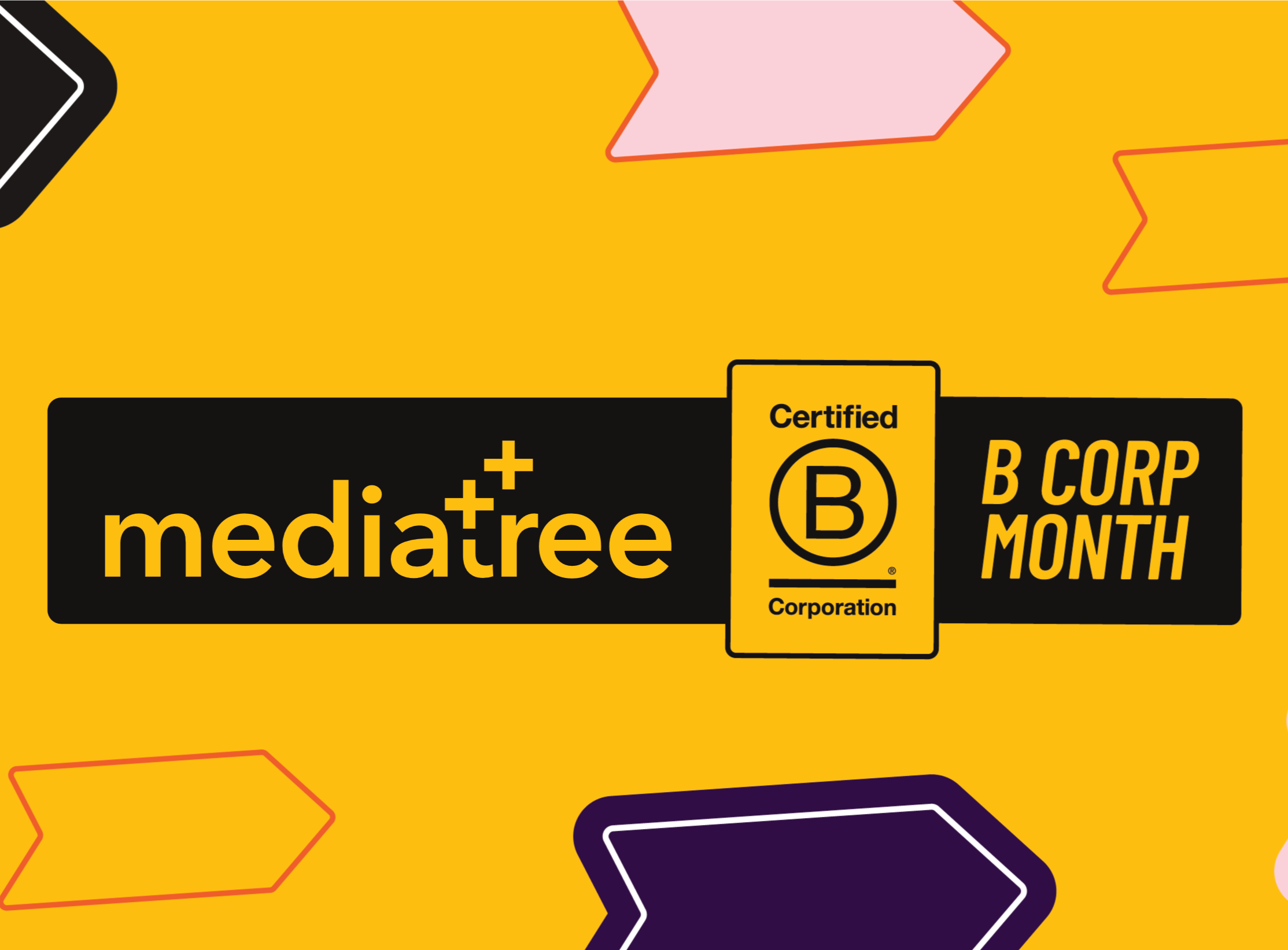 Mediatree’s B Corp Month Round Up